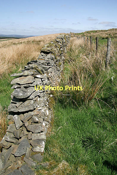 Photo 6"x4" A drystane dyke on Pikestone Hill Boreland\/NY1791 c2008