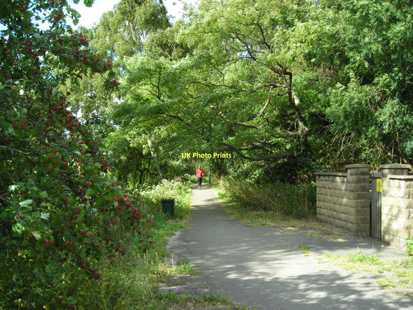 Photo 6"x4" Quarry Lane Local Nature Reserve Mansfield\/SK5361 c2011