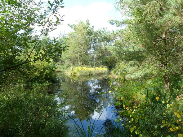Photo 6"x4" Week, pond Avon\/SZ1498 c2011
