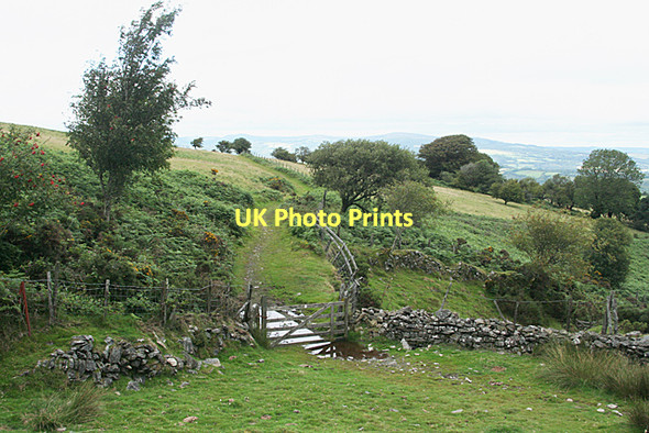 Photo 6"x4" Dean Prior: Dean Moor, towards Lambs Down Michelcombe c2011
