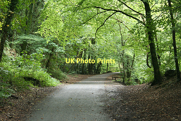 Photo 6"x4" Sparkwell: West Devon Way Leigham c2011