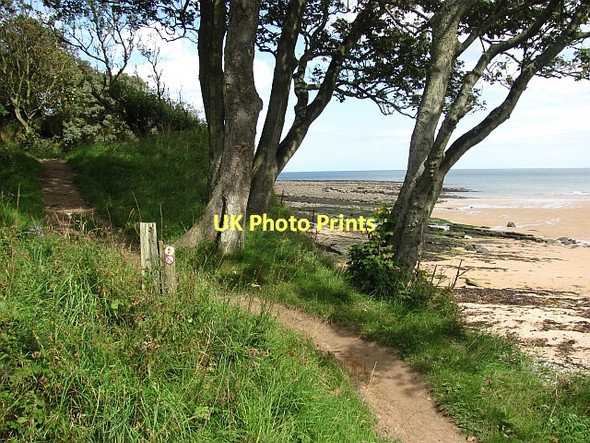 Photo 6"x4" Northumberland coast path Howick\/NU2517 c2011