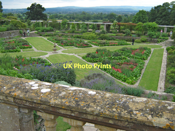 Photo 6"x4" The Great Plat, Hestercombe Gotton c2011