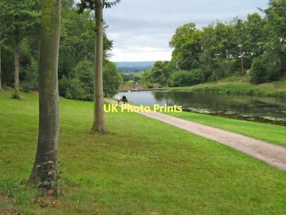 Photo 6"x4" Hestercombe Gardens Gotton c2011