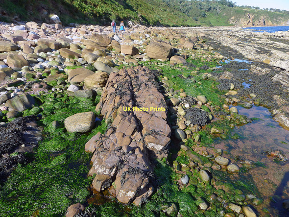 Photo 6"x4" Walking towards the ravine that contains St Bennets Well Cromarty\/NH7867 c2011
