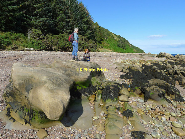 Photo 6"x4" Contemplating the walk from Eathie to St Bennets Well  Cromarty\/NH7867 c2011