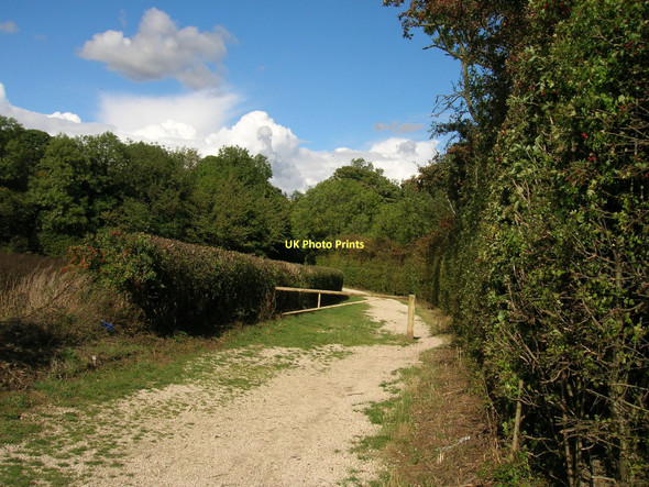 Photo 6"x4" Track to Edlington Wood Old Edlington c2011