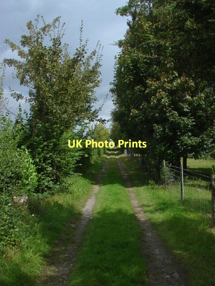 Photo 6"x4" Sutton Green Prey Heath c2011