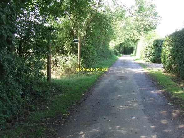 Photo 6"x4" Country Lane Hightown Green c2011
