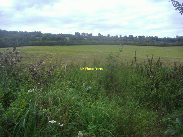 Photo 6"x4" View from North Downs Way, Compton Compton\/SU9546 c2011