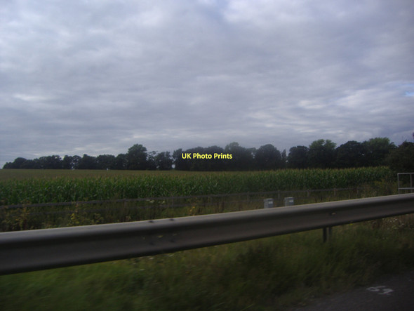 Photo 6"x4" Fields by the A3, approaching Burntcommon Burntcommon c2011