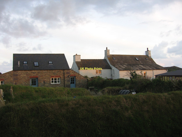 Photo 6"x4" Lower Treleddyn Farm Rhosson c2011