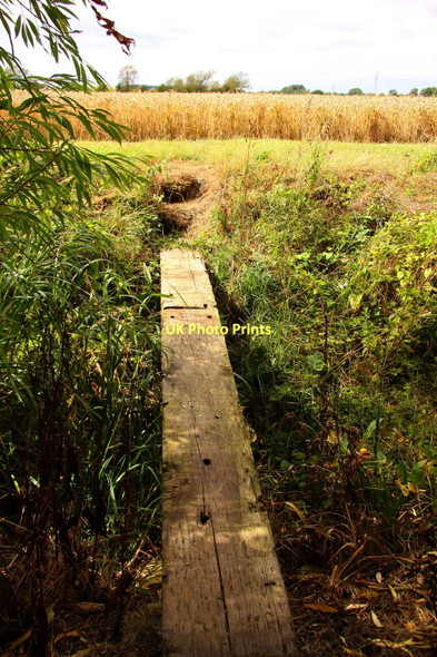 Photo 6"x4" Plank over the canal Drayton\/SU4794 c2011