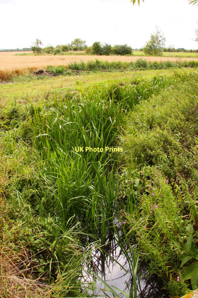 Photo 6"x4" Drainage stream by Marcham Mill Marcham c2011