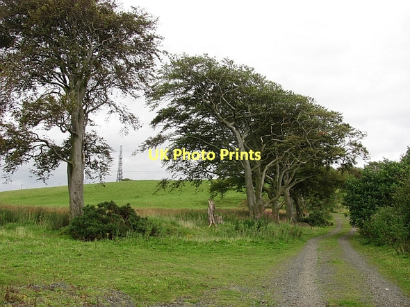 Photo 6"x4" Cairnpapple Hill Bathgate c2011