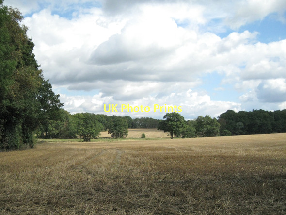 Photo 6"x4" Low-lying land west of Berkswell Hall lake  Berkswell c2011