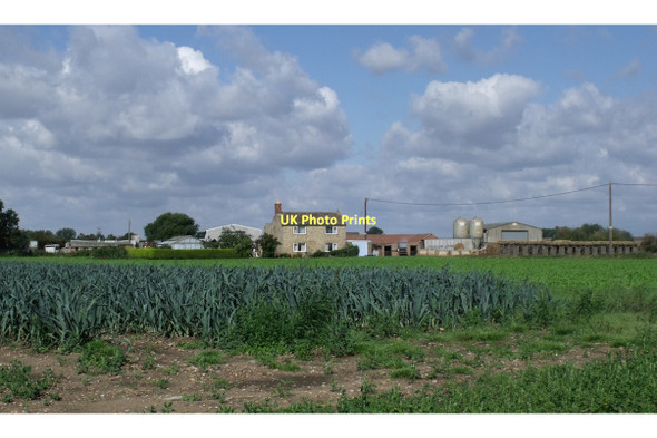 Photo 6"x4" Bede Farm near Coningsby Coningsby c2011