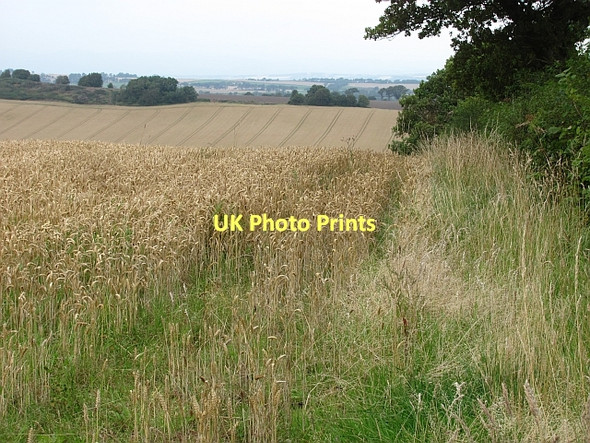 Photo 6"x4" Wheat, Ochiltree Bridgend\/NT0475 c2011