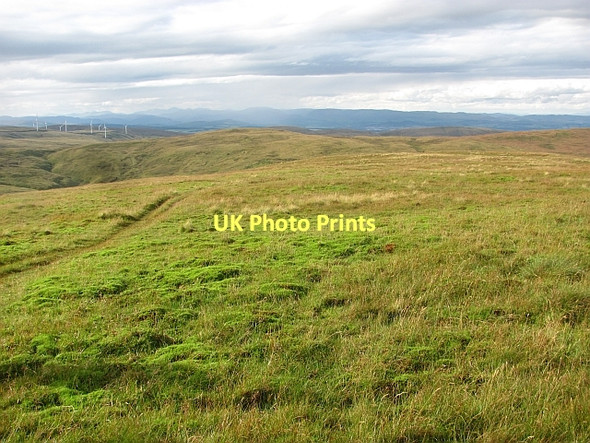 Photo 6"x4" On King's Seat Hill Dollar c2011