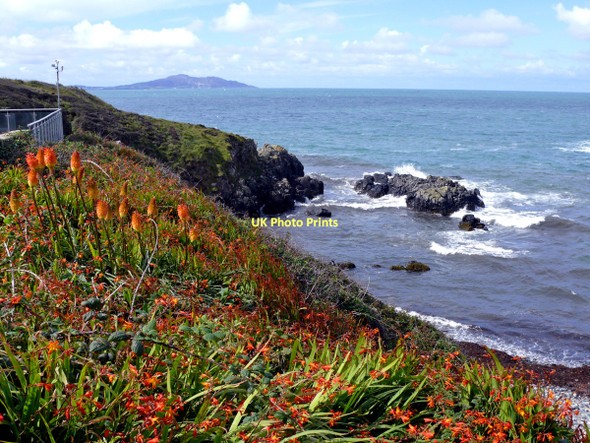 Photo 6"x4" Holyhead mountain Rhydwyn c2011