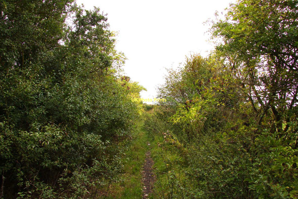 Photo 6"x4" Bridleway to Ardington Wick Drayton\/SU4794 c2011