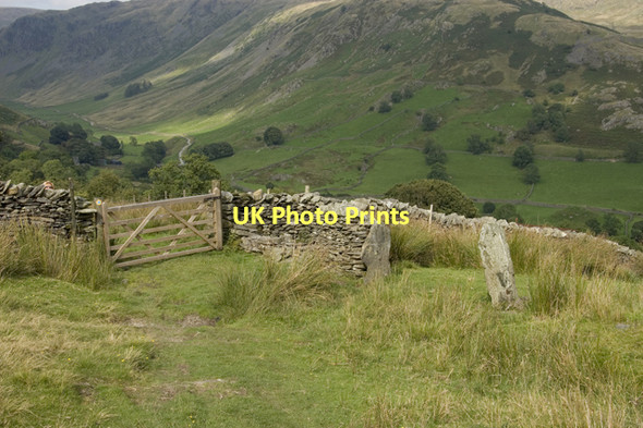Photo 6"x4" Gates ancient and modern Sadgill c2011