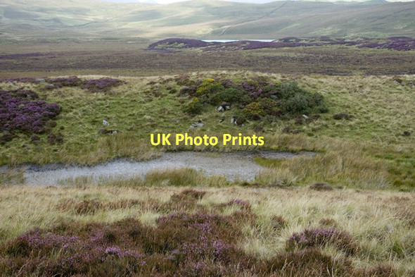 Photo 6"x4" Moorland tarn, Sleddale Forest Green Quarter c2011