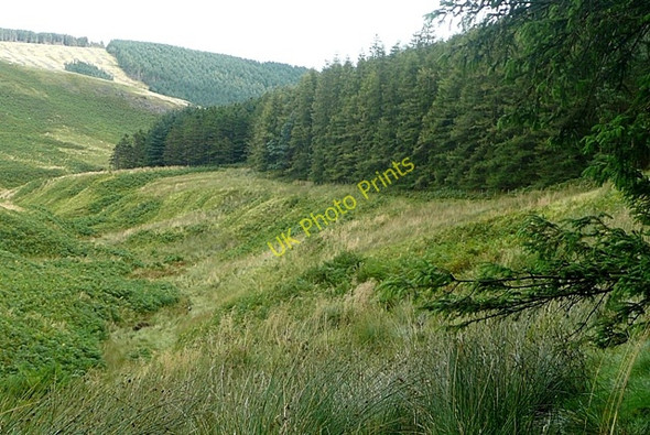 Photo 6"x4" Elsdon Burn Ring Chesters c2009