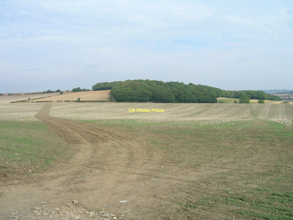 Photo 6"x4" Farmland off Wood Lane Treeton\/SK4387 c2011