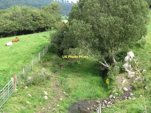 Photo 6"x4" The track of the former Banbridge to Castlewellan Railway line Castlewellan c2011