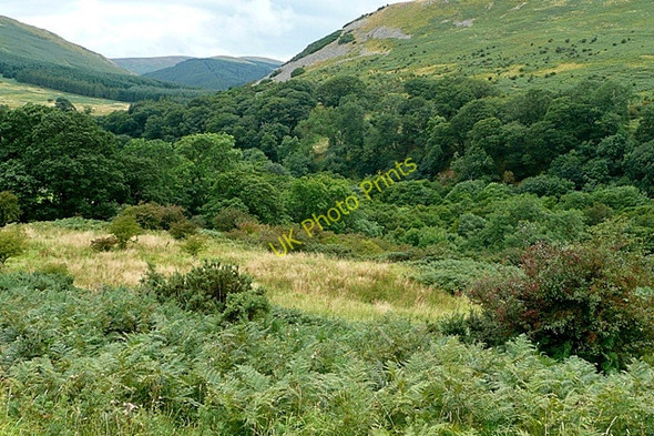 Photo 6"x4" College Burn Westnewton\/NT9030 c2009