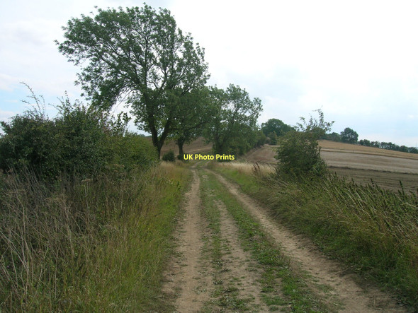 Photo 6"x4" Fordoles Head Lane Maltby\/SK5292 c2011