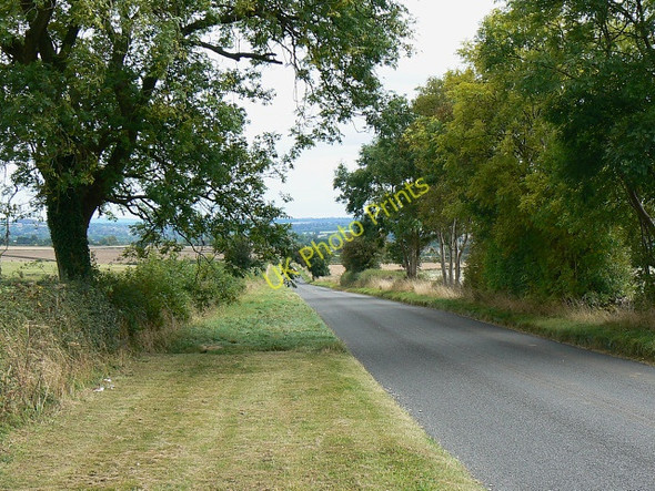 Photo 6"x4" Trees along Chipping Norton Road, near Chipping Norton Chipping Norton c2009