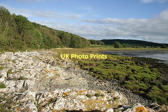 Photo 6"x4" The shoreline at Manxman's Lake Kirkcudbright c2011