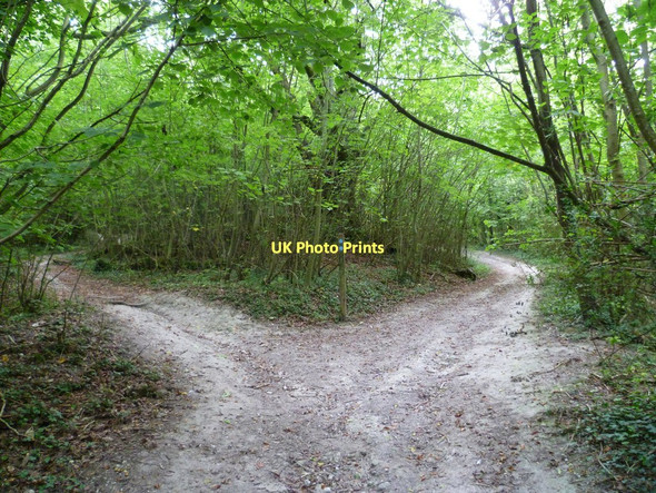 Photo 6"x4" Bridleway junction on the downs near Charlton Court Steyning c2011