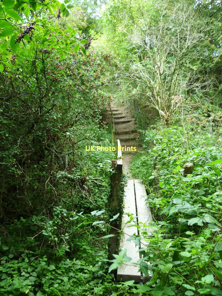 Photo 6"x4" Footpath with bridge and steps leading east from Washington Washington\/TQ1212 c2011