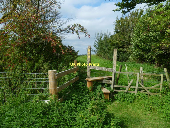 Photo 6"x4" Footpath junction near Tilley's Farm Washington\/TQ1212 c2011