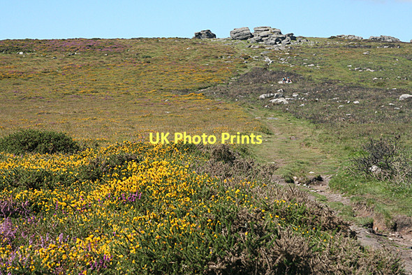 Photo 6"x4" Widecombe in the Moor: towards Top Tor Bonehill\/SX7277 c2011