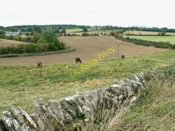 Photo 6"x4" Field boundary, east of Bridewell Farm, East End, Witney East End\/SP3914 c2009