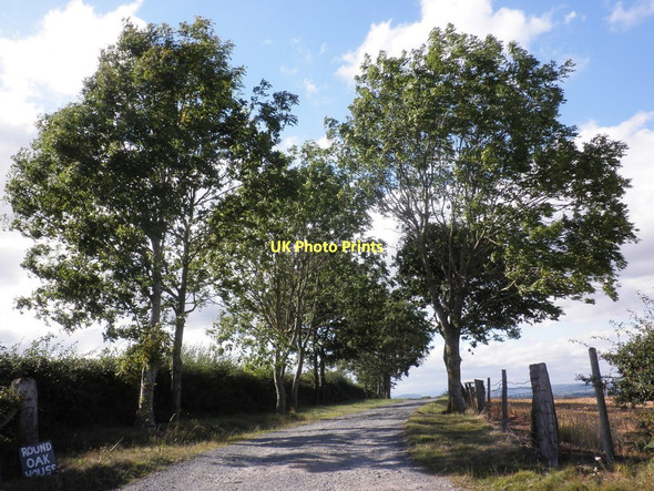 Photo 6"x4" Track to Ramsden Farm Newtown\/SO5333 c2011