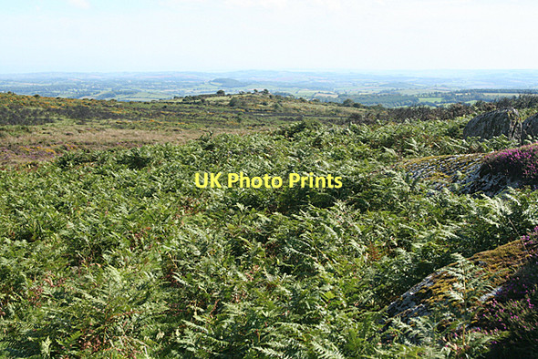 Photo 6"x4" Ilsington: towards Bag Tor Lewthorn Cross c2011