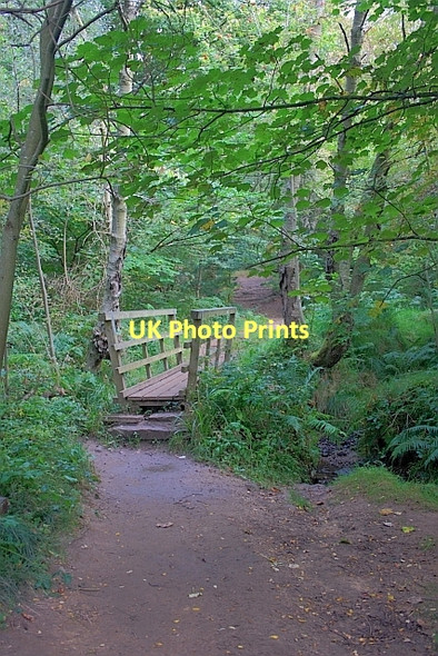 Photo 6"x4" Footbridge, May Beck Sneatonthorpe c2011