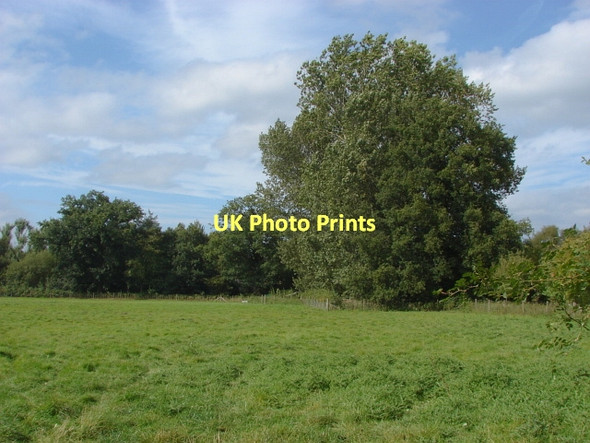 Photo 6"x4" Merrist Wood Fairlands\/SU9652 c2011