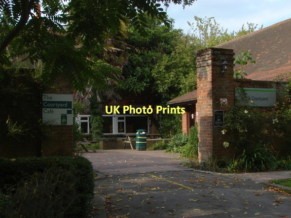 Photo 6"x4" Merrist Wood Fairlands\/SU9652 c2011
