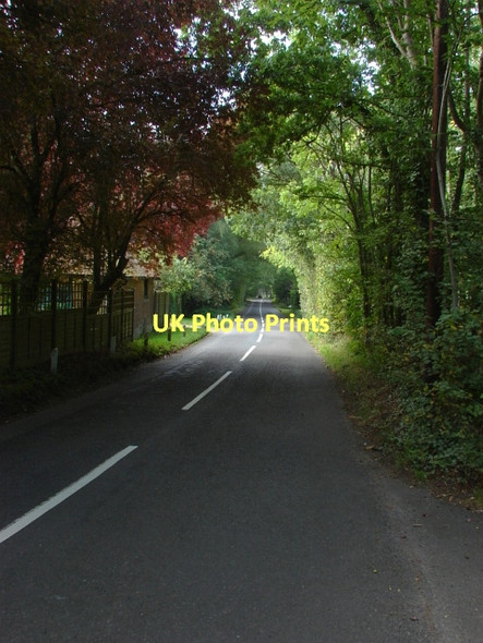 Photo 6"x4" Cobbett Hill Road Littlefield Common c2011