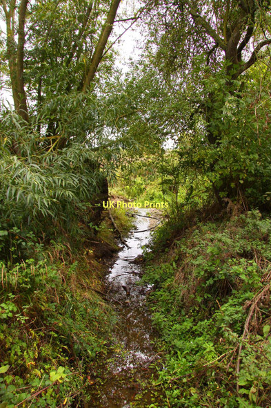Photo 6"x4" Drainage ditch near Drayton Copse Drayton\/SU4794 c2011