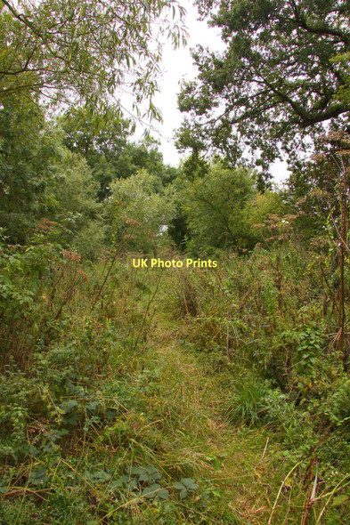 Photo 6"x4" Bridleway to Willowbrook Farm Steventon\/SU4691 c2011