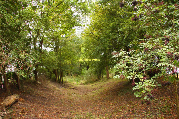 Photo 6"x4" The former Wilts & Berks Canal near Steventon Steventon\/SU4691 c2011