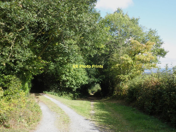 Photo 6"x4" Bridleway to Little Birch King's Thorn c2011