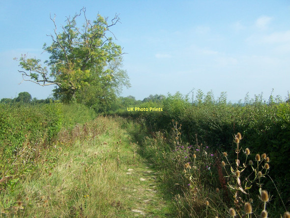 Photo 6"x4" Blind Lane, Barton St David Barton St David c2011